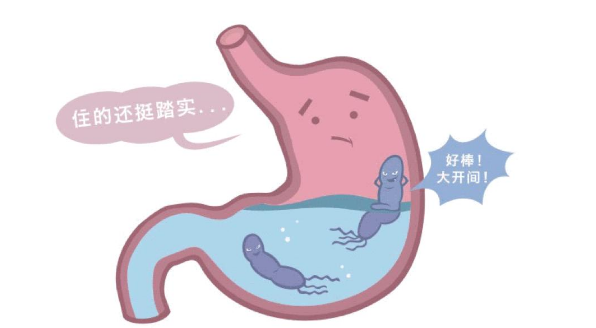 胃癌和幽门杆菌有什么关系呢？你知道吗