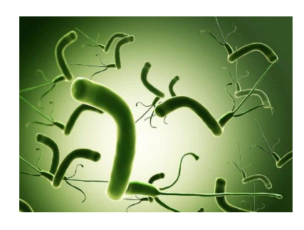 幽门螺杆菌传染吗，要注意哪些问题呢