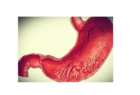 萎缩性胃炎能治好吗，以下内容来告诉你