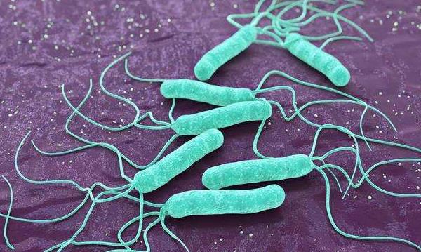幽门螺杆菌最怕的食物，让你轻松远离胃病！