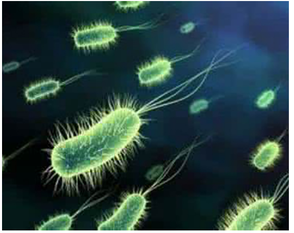 幽门螺杆菌的传染途径，这些传染途径你知道多少呢？