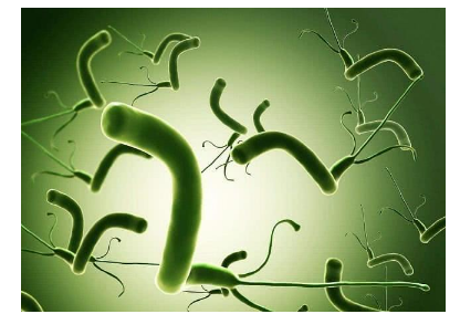 幽门螺杆菌是如何引起的，这些问题你知道吗？